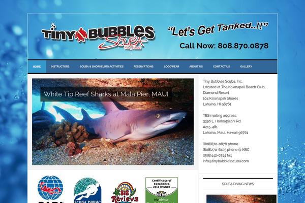 tinybubblesscuba.com site used Tiny-bubbles-scuba-theme
