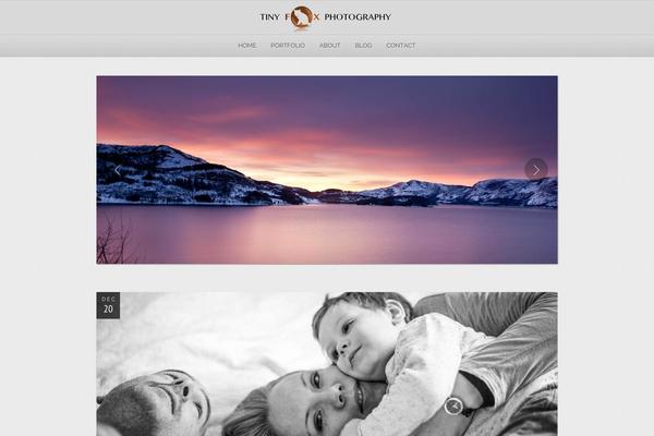 Photolux theme site design template sample