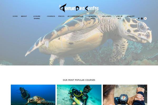 Site using WP Google Maps plugin