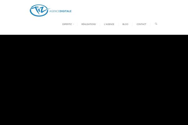 tiz WordPress theme, websites list used tiz theme tiz theme websites examples