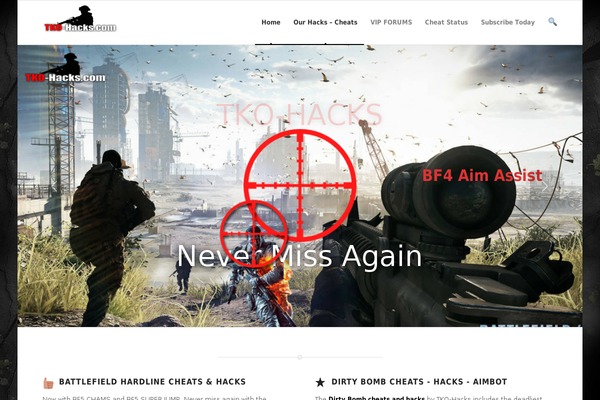 WordPress website example screenshot