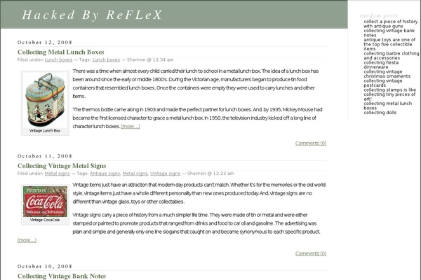 WordPress website example screenshot