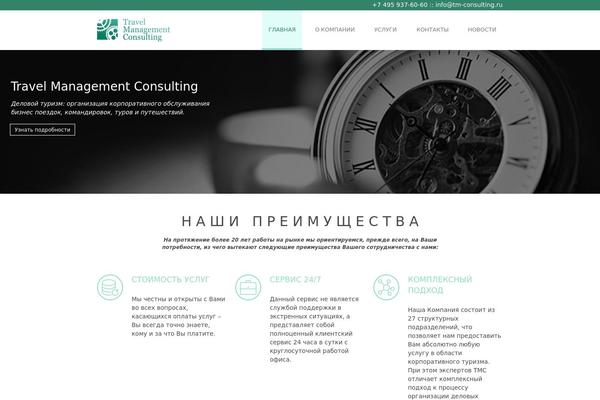 tm-consulting.ru site used Ddd