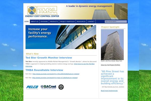 tmba.com site used Headway-207