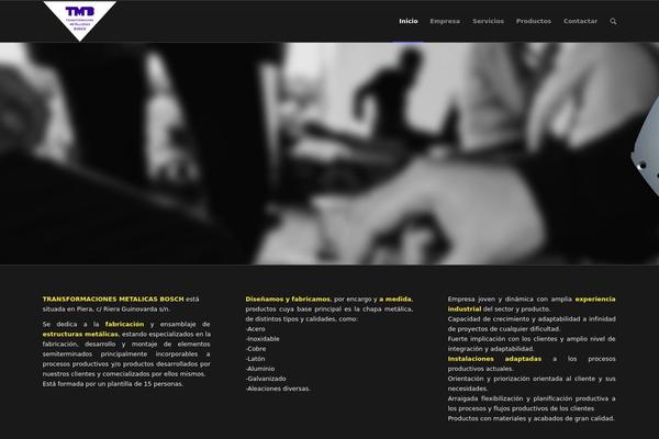 Enfold theme site design template sample