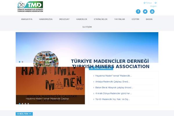 Medanis theme site design template sample