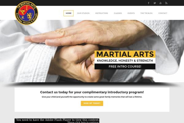 tmmartialarts.com site used Tinyboxes-child