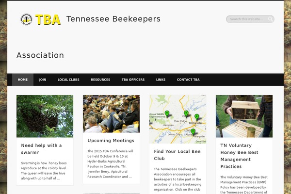 Pinboard theme site design template sample