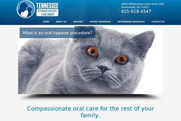 WordPress website example screenshot