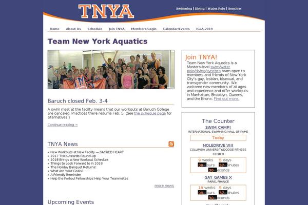 tnya.org site used Team-ny