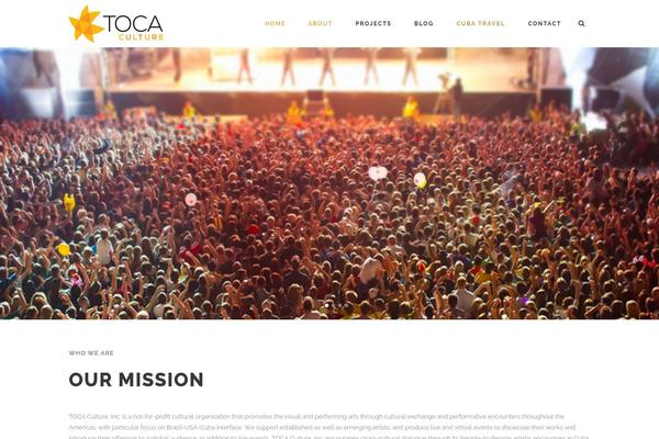 Site using Custom-twitter-widget-ctw plugin