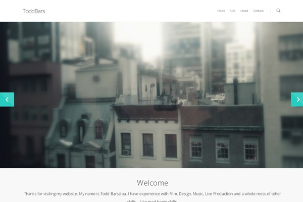 Salient theme site design template sample
