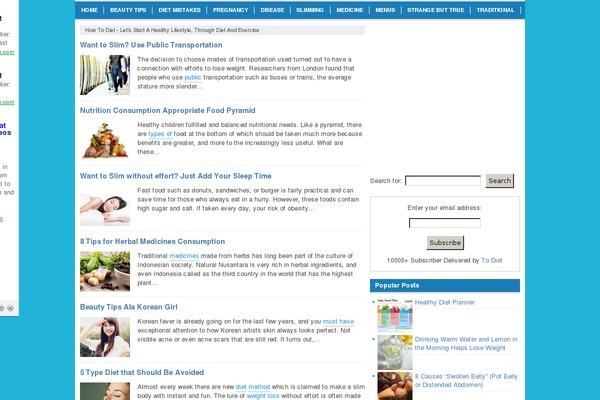 WordPress website example screenshot