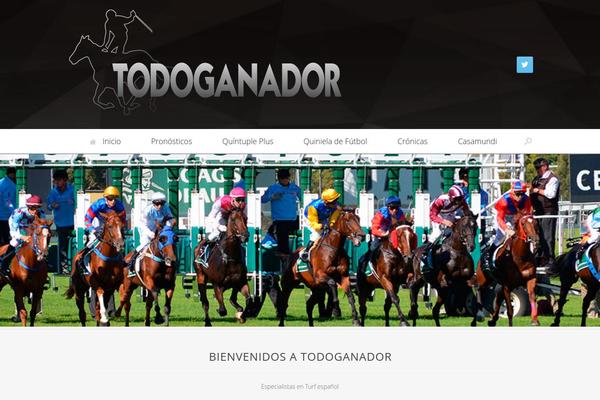 todoganador.com site used Twenty Ten