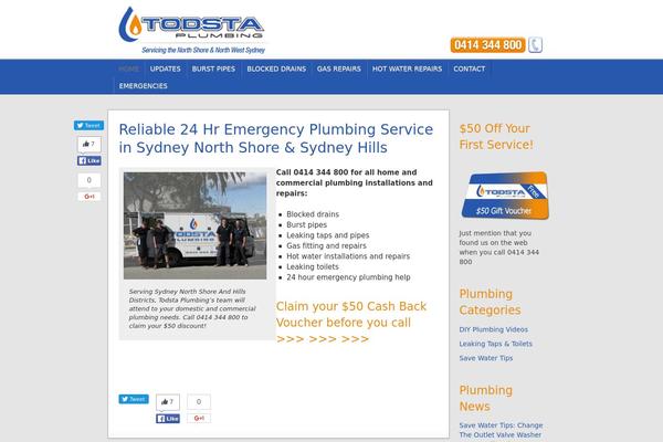 WordPress website example screenshot