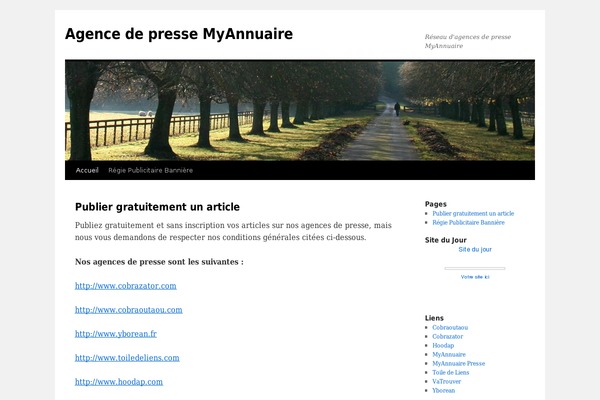 Twenty Ten theme site design template sample