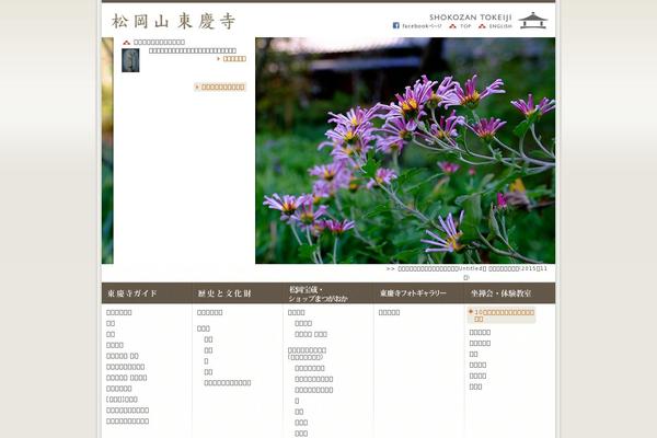 tokeiji.com site used Tokeiji