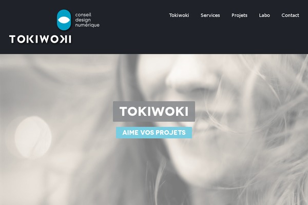 tokiwoki.fr site used Proxy-package