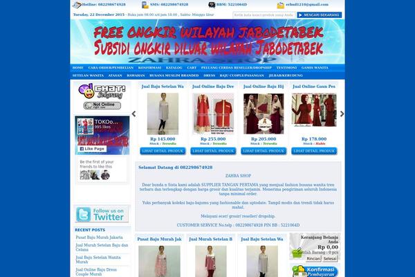 indostorerwp theme websites examples