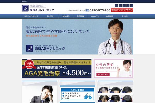 tokyoaga.com site used Tokyo-aga-lp