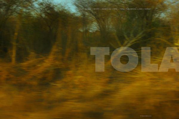 tolarnogalleries.com site used Tolarno2020