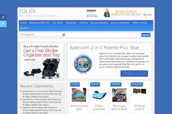 tolidi.com site used Basiczone