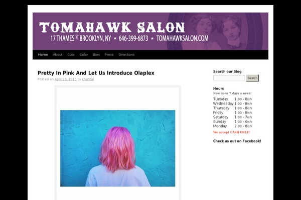 tomahawk WordPress theme, websites list used tomahawk theme tomahawk theme websites examples