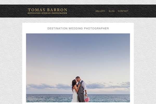 Bold-photography theme site design template sample