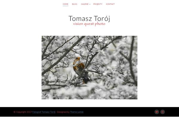 tomasztoroj.pl site used Aurel