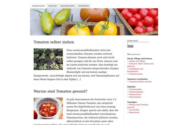 Thesis theme site design template sample