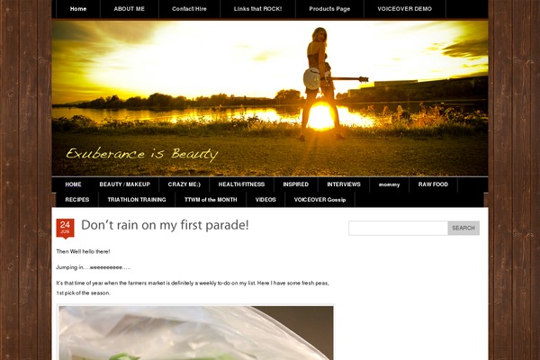 Brightsky theme site design template sample