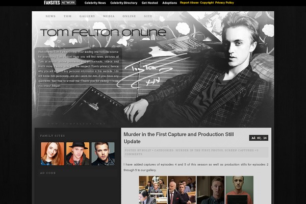 TomFeltonOnline theme websites examples