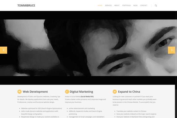 Salient theme site design template sample