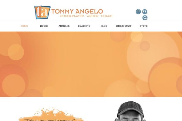 Writer-ancora theme site design template sample