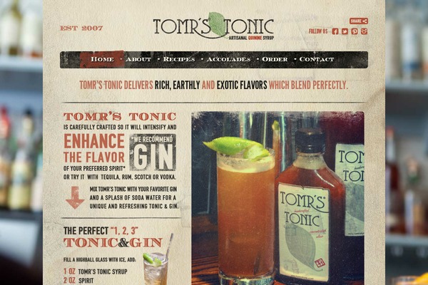 tomrstonic theme websites examples