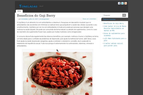 WordPress website example screenshot