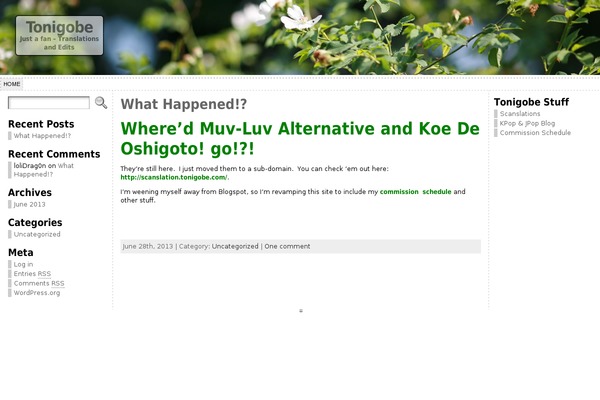 WordPress website example screenshot