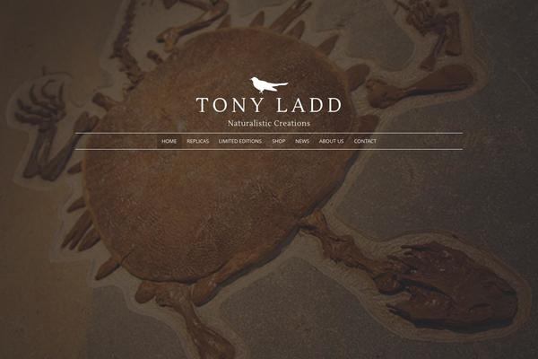 tonyladdart.com site used Tonyladd