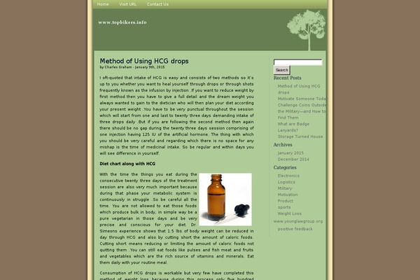 WordPress website example screenshot