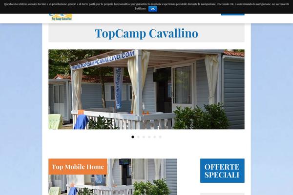 Canvas theme site design template sample
