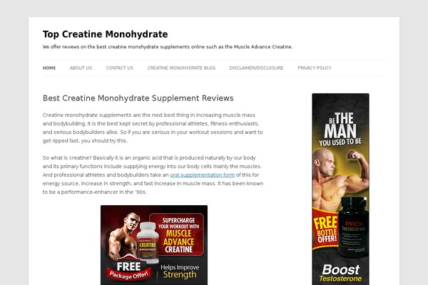 Twenty Twelve theme site design template sample