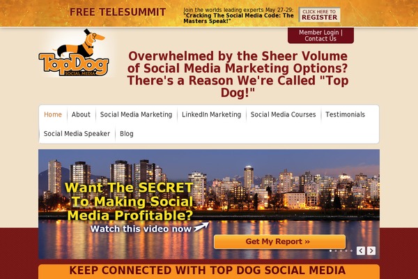 TBTestimonials website example screenshot