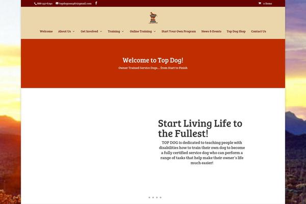 Divi theme site design template sample