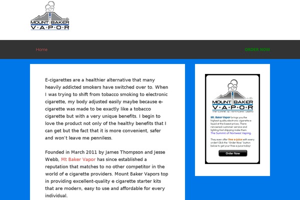 WordPress website example screenshot