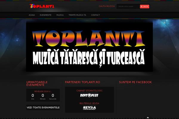 toplanti.ro site used Muzica