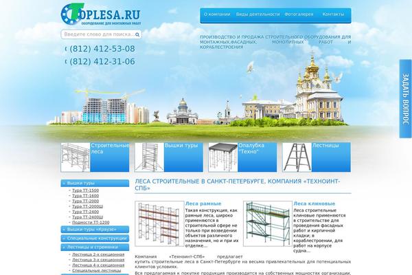 toplesa.ru site used Toplesa