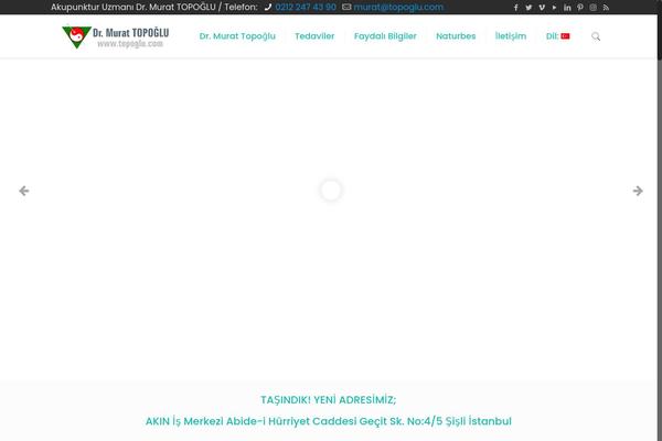 topoglu.com site used Topoglu