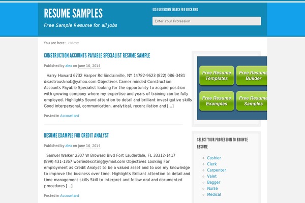 Live Wire theme site design template sample