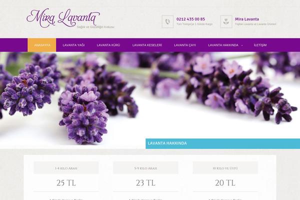 Blessing theme site design template sample