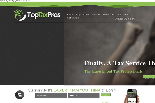 WordPress website example screenshot